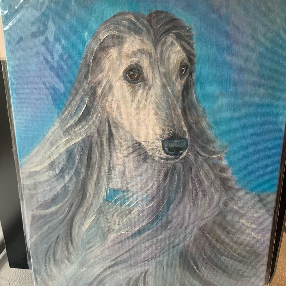 Elegant Gray Dog Portrait Canvas